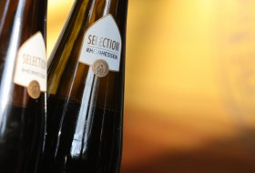 Selection Rheinhessen