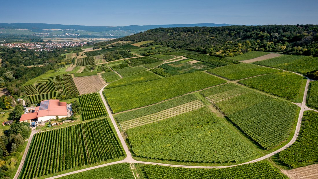 Gau-Algesheimer Goldberg