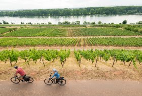 Radfahren am Roten Hang mit Blick auf den Rhein &copy; Dominik Ketz