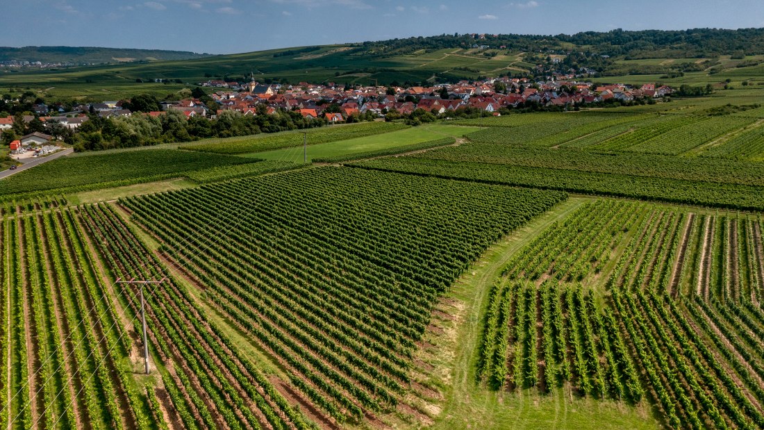 Ockenheimer Hockenm&uuml;hle