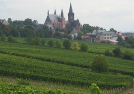 Weinberge, &copy; Weingut Dr. Dahlem