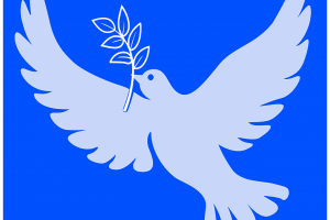 dove and peace, © Hans Bühler