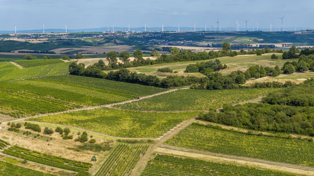 Sankt Johanner Klostergarten, © Torsten Silz