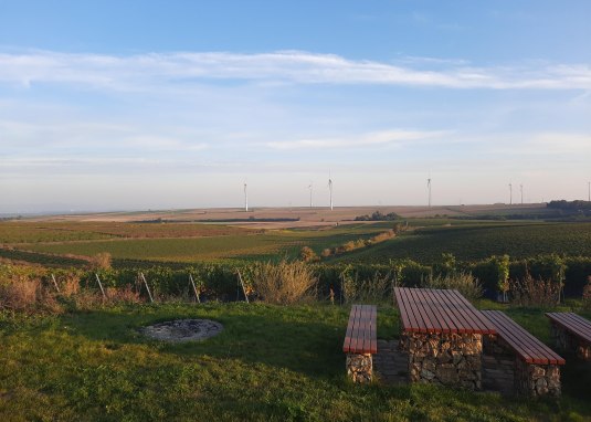 Junghennblick mit Rastmöglichkeit Uelversheim © TSC Rhein-Selz