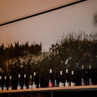 MEINWEINZUHAUSE-0615 (1) &copy; Barudio Photodesign