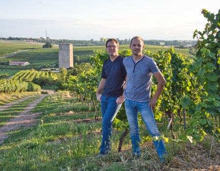 Weingut Georg Gustav Huff_Winzer im Weinberg, © Weingut Georg Gustav Huff