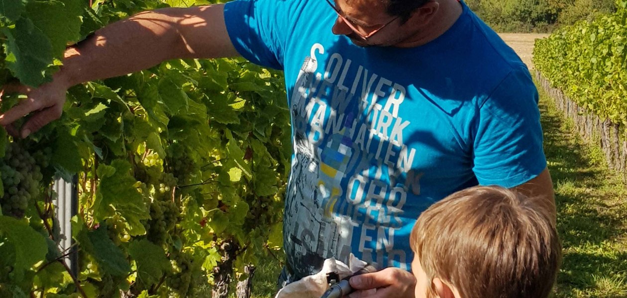 Weingut Schnabel_Weinberg, &copy; Weingut Schnabel