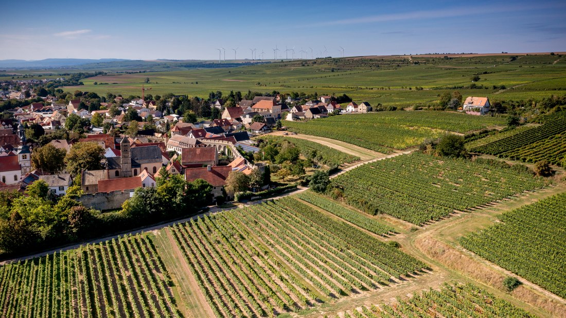 Dalsheimer B&uuml;rgel