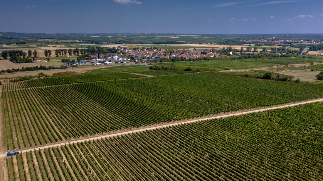 M&ouml;rstadter Nonnengarten