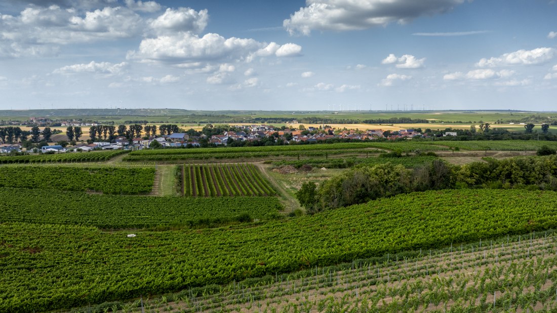 M&ouml;rst&auml;dter Katzebuckel, &copy; Torsten Silz