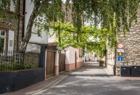 Schmale Straße in einem ruhigen Wohnviertel mit alten Häusern, Bäumen und Verkehrsschildern am Straßenrand