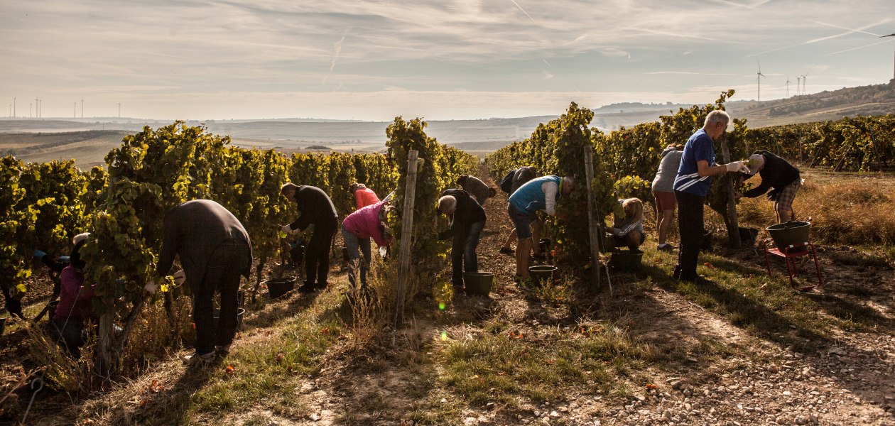 Leser im Sonnenschein, &copy; Sven Hasselbach