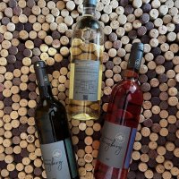 Weinpr&auml;sentation &copy; Weingut am Honigberg