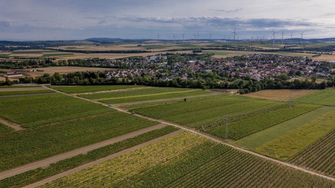 Wallertheimer Vogelsang-DJI_0774, &copy; Rheinhessenwein e.V., Torsten Silz