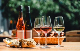 Weinfr&uuml;hling &copy; Weingut Lamberth