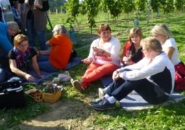 WinzerPicknick, &copy; Weingut J&uuml;rgen Bernhard