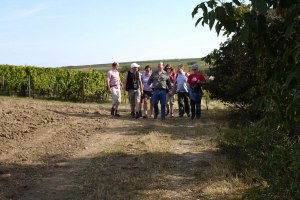 Weinbergswanderung, © Weingut Jürgen Bernhard