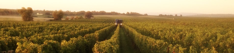Weingut Beyer-B&auml;hr_Landschaft, &copy; Weingut Beyer-B&auml;hr
