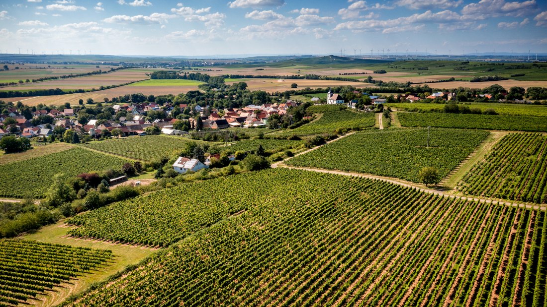 Hillesheimer Altenberg