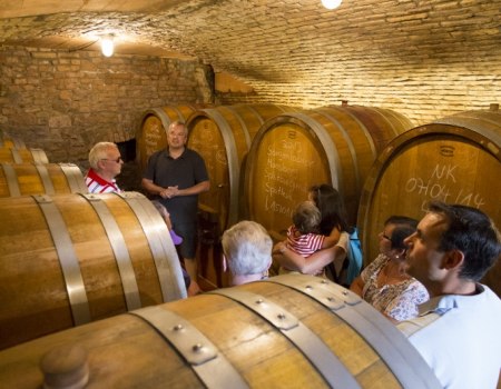 Weingut Helmut Best_Keller, © Weingut Helmut Best