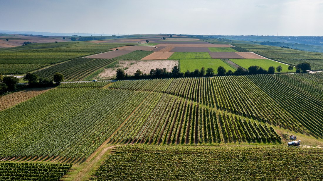 Saulheimer H&ouml;lle