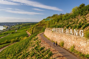 Roter Hang Blick Richtung Nierstein, &copy; Dominik Ketz