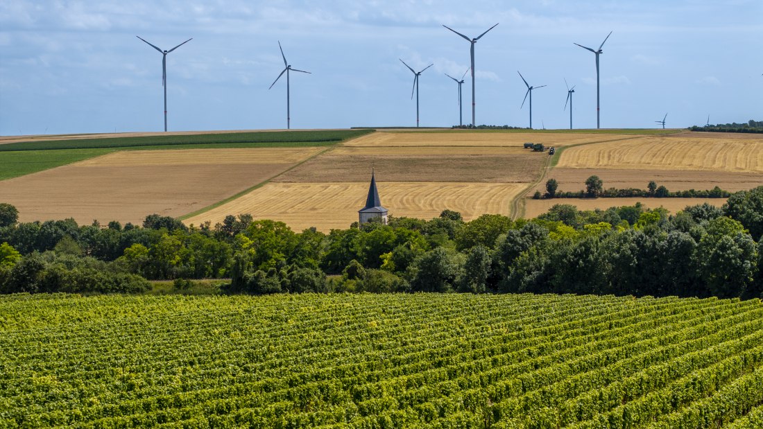 Freimersheimer Frankenstein, &copy; Rheinhessenwein e.V., Torsten Silz