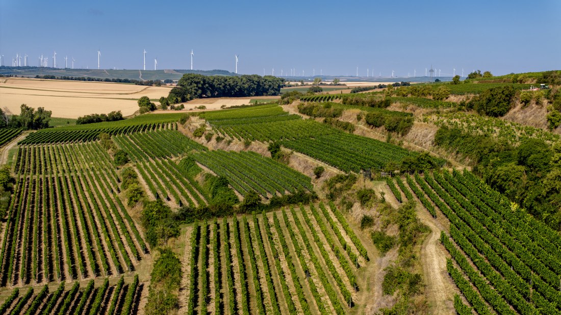Alsheimer Römerberg, © Torsten Silz
