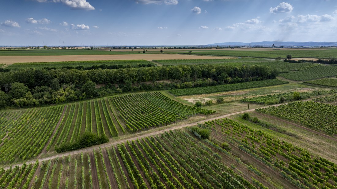 M&ouml;rst&auml;dter Katzebuckel, &copy; Torsten Silz