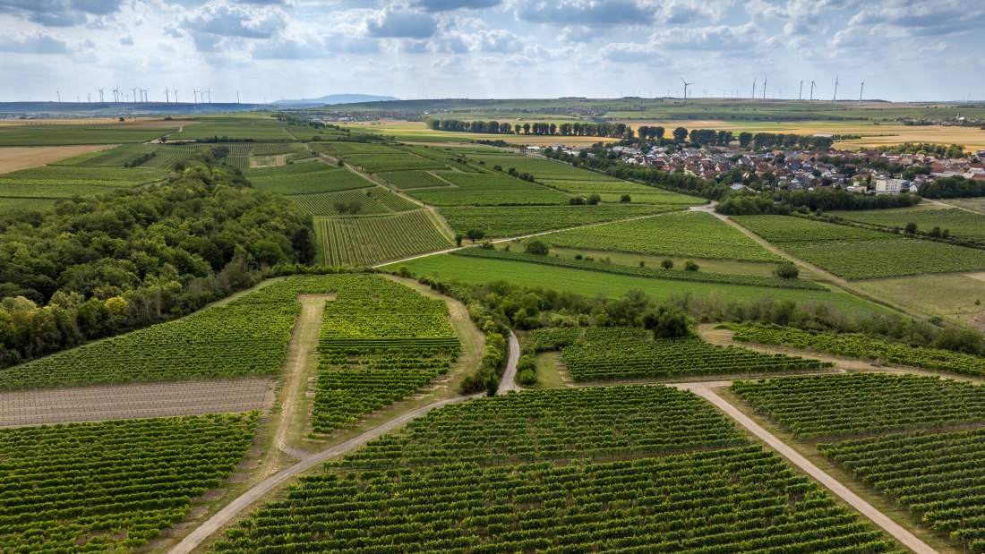 M&ouml;rst&auml;dter Katzebuckel, &copy; Torsten Silz