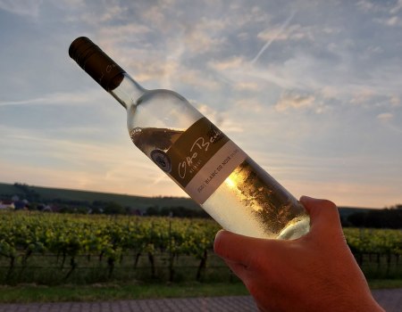 Weingut Otto Becker_bei Sonnenuntergang, © Weingut Otto Becker