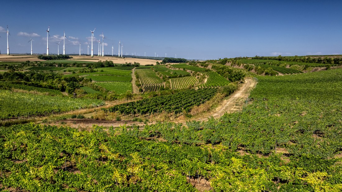 Alsheimer Römerberg, © Torsten Silz