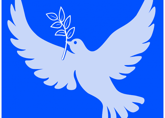 dove and peace © Hans Bühler