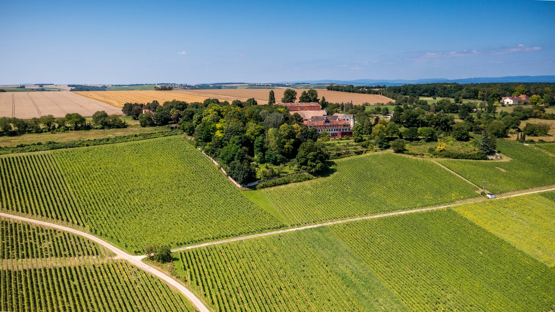 Ingelheimer Schloß Westerhaus