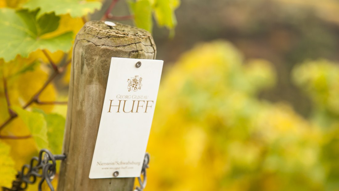 Weingut Georg Gustav Huff_Weinberg, &copy; Weingut Georg Gustav Huff