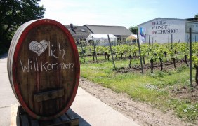 Weingut Bacchushof Dexheim 02 &copy; Lothar Krug
