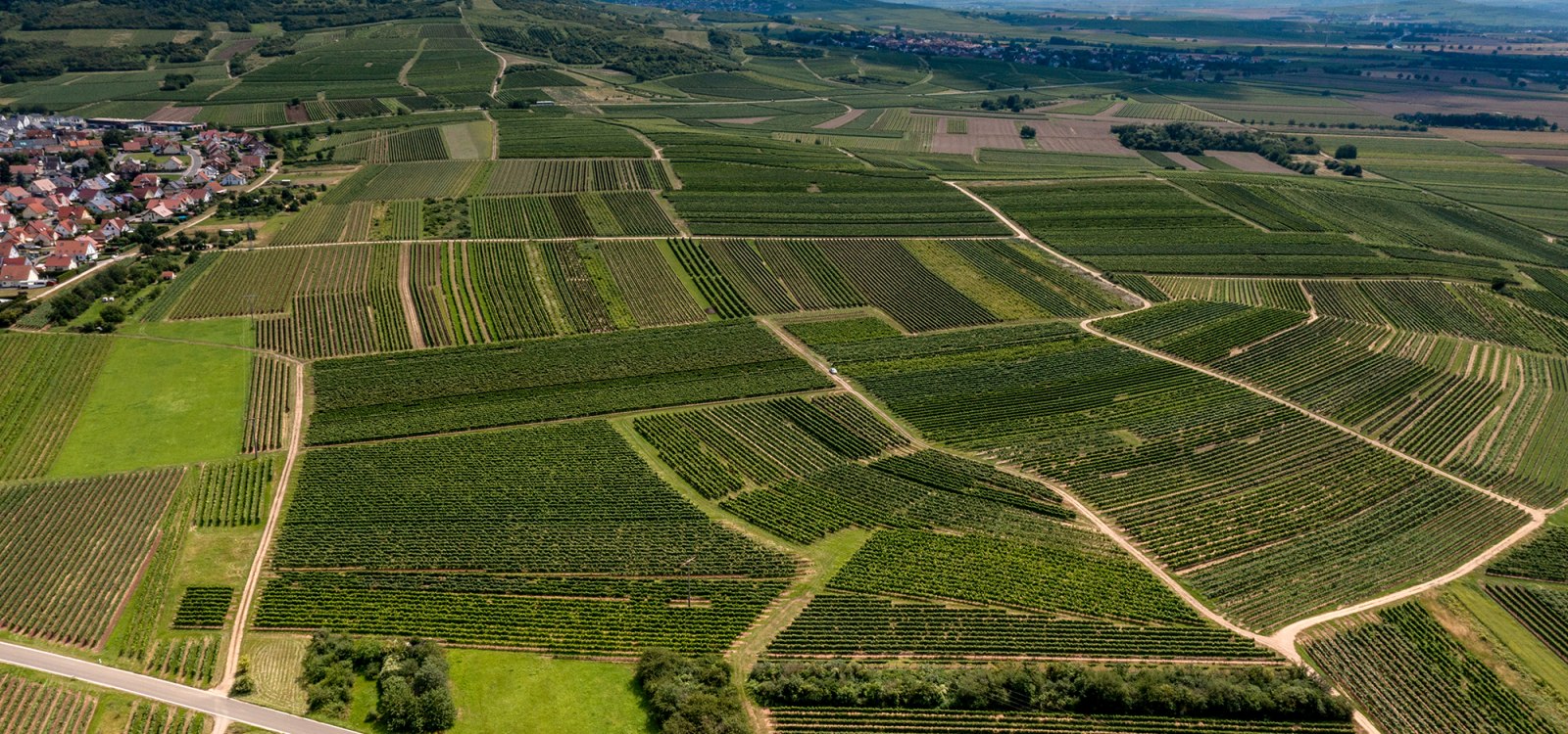 Ockenheimer Hockenm&uuml;hle
