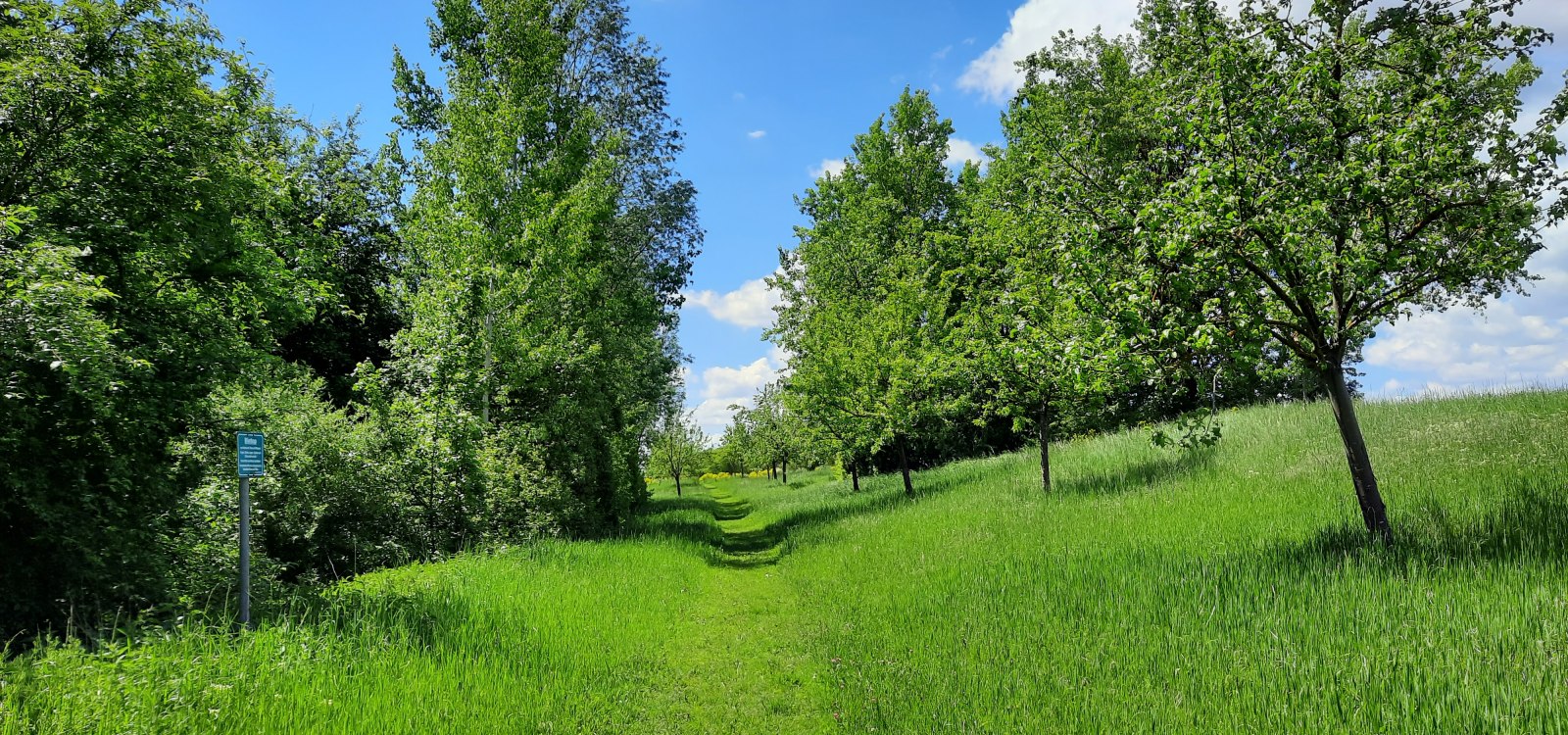 ViaNatura Hahnheim, &copy; TSC Rhein-Selz