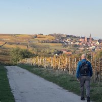 IMG_0312