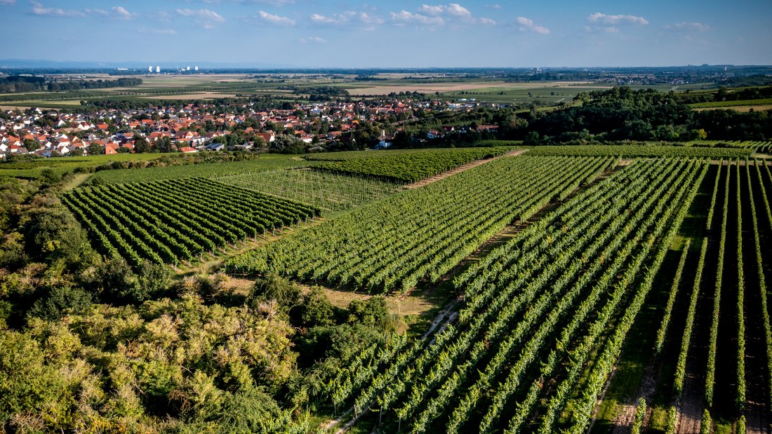 Alsheimer Frühmesse