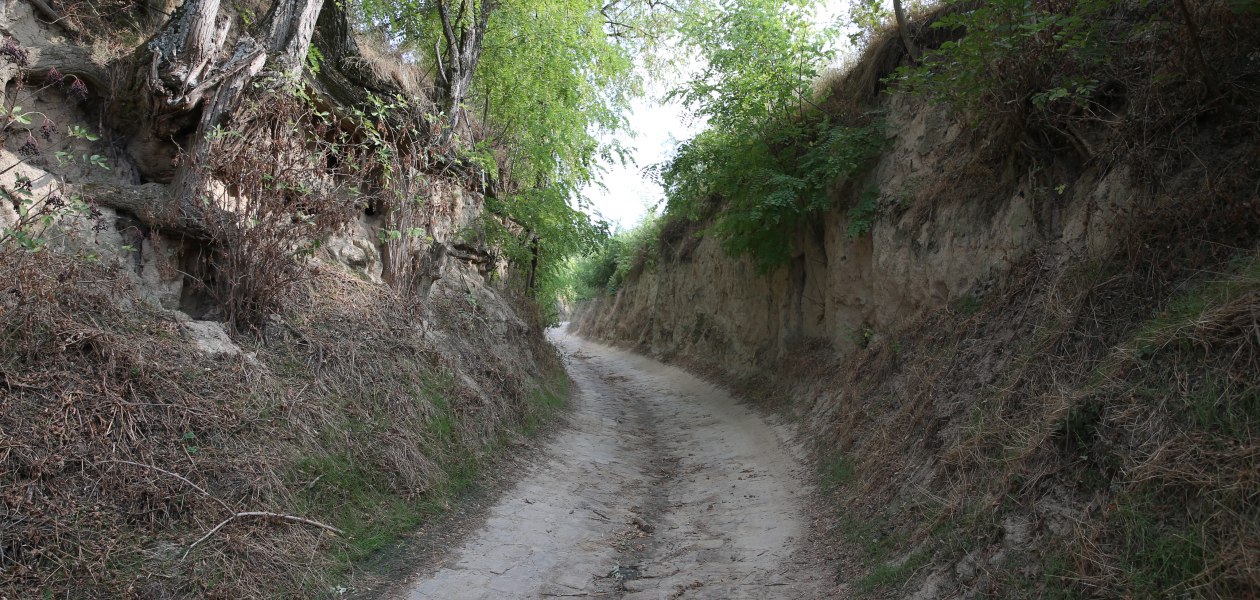 Weingut Fischborn Bergeshof_Weg, &copy; Weingut Fischborn Bergeshof