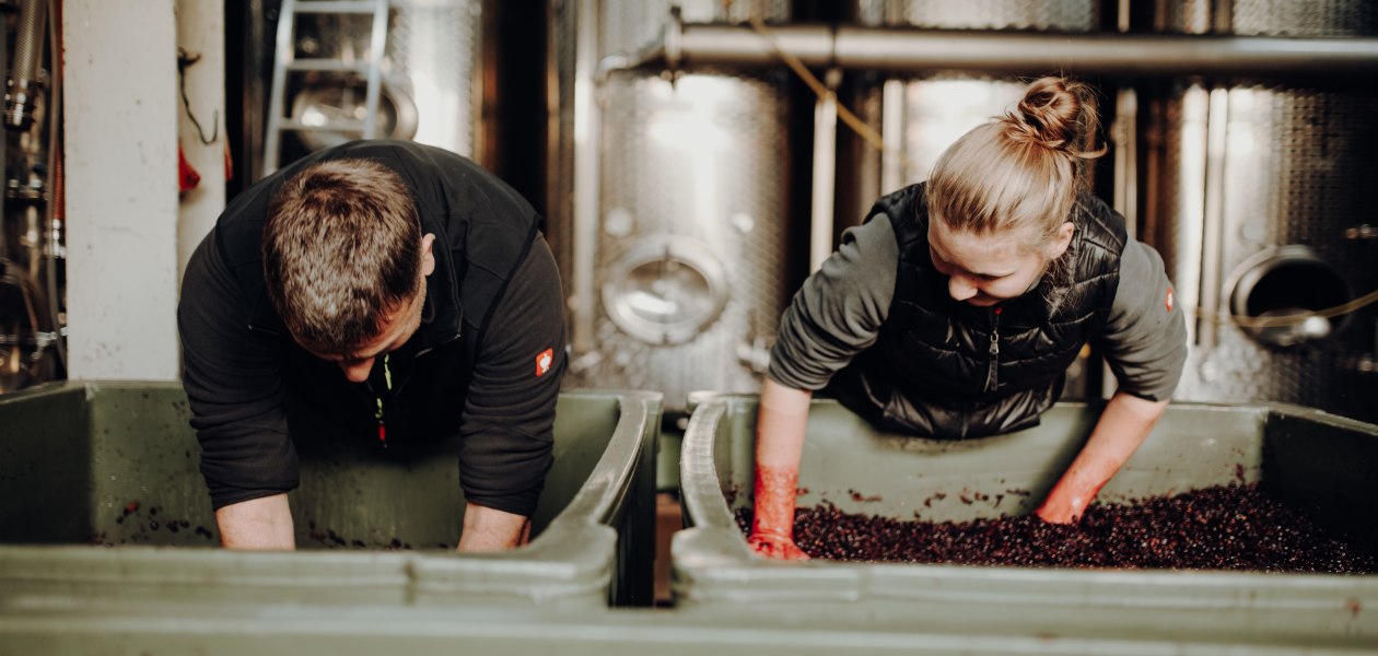 Weingut Bernhard_Winzer, &copy; Ines Barwig