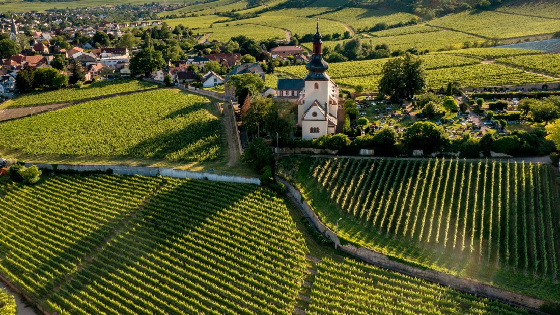 Niersteiner Glöck