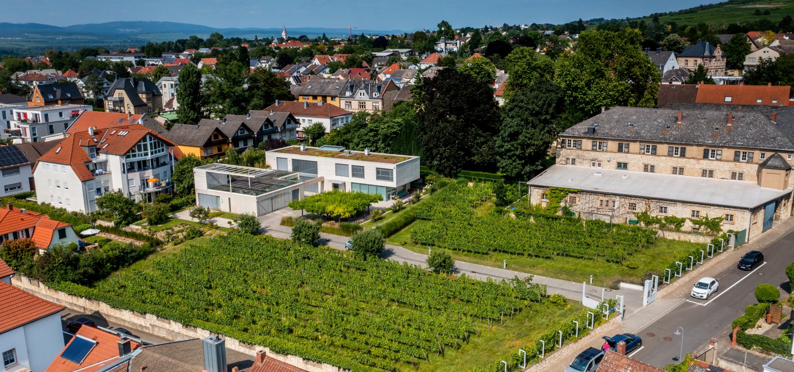 Ingelheimer Sonnenberg-DJI_0028.DNG, &copy; Torsten Silz