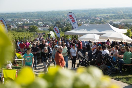 Große Menschenmenge bei einer Veranstaltung im Freien mit Sonnenschirmen und Fahnen, im Hintergrund Weinberge und eine Stadt, © inMEDIA