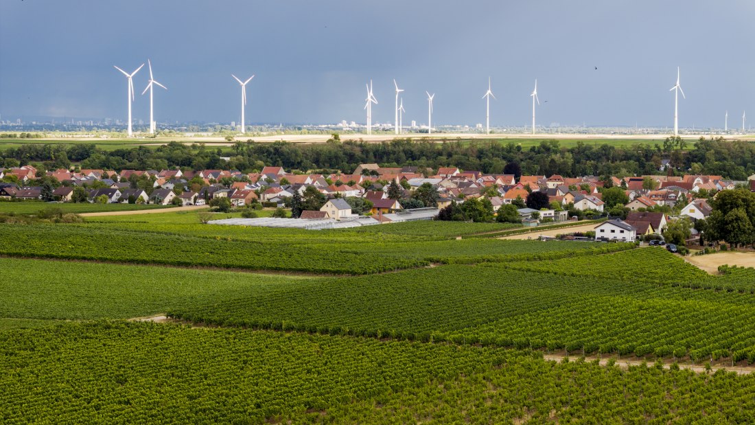 Heppenheimer Affenberg, © Torsten Silz