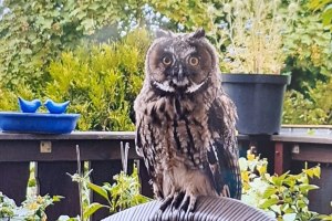 Kultur um 8_Januar 2026, &copy; Nikolaus Strupp