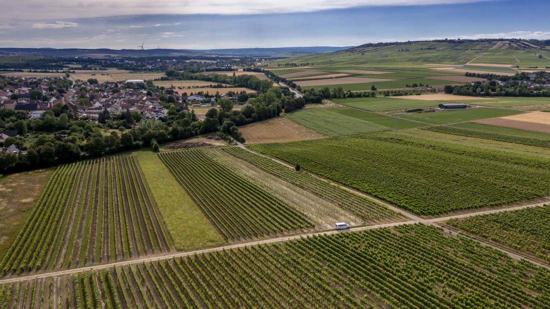 Wallertheimer Vogelsang-DJI_0756, &copy; Rheinhessenwein e.V., Torsten Silz