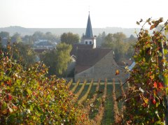 Dorn-Dürkheim Blick aufs Dorf © Stefan Pruin