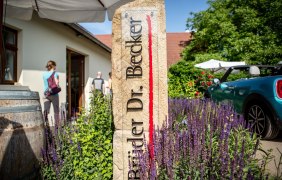 Willkommen im Weingut Br&uuml;der Dr. Becker &copy; Weingut Br&uuml;der Dr. Becker